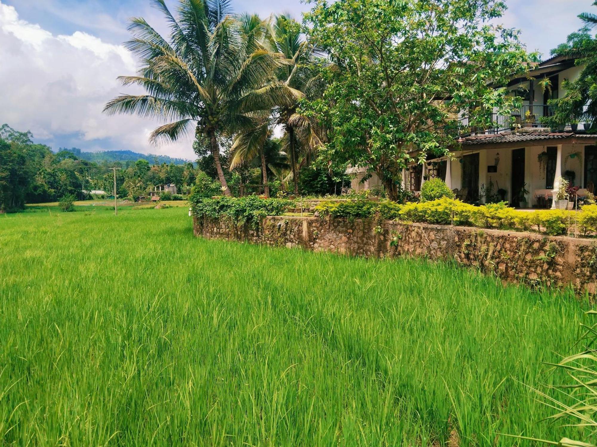 Ella Nature Valley Homestay Exteriör bild